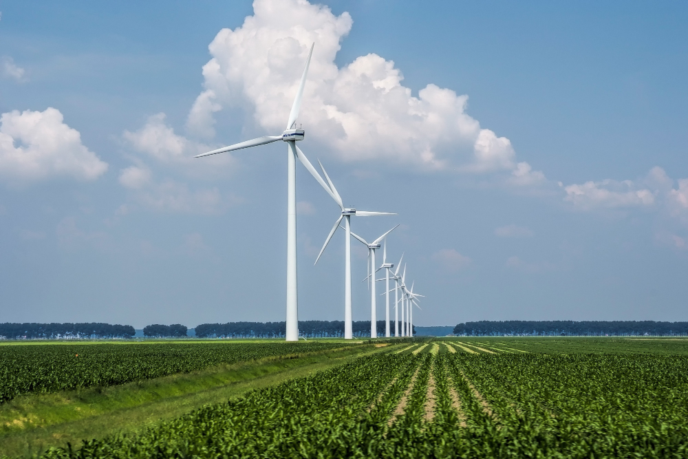 Mât de mesure anémométrique installé sur une parcelle agricole